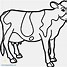 Image result for Highland Cow Coloring Pages Printable