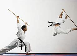 Image result for Martial Arts Staff Poses