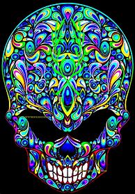 Image result for Trippy Skull