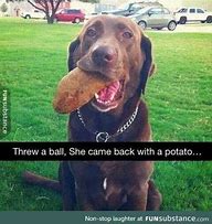 Image result for Absoulutely Hilarious Photo