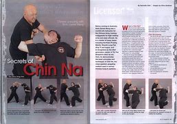 Image result for Chin Na
