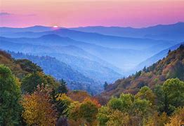 Image result for Appalachian Mountains Forest