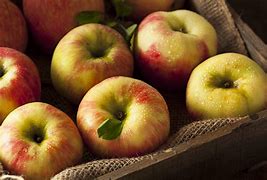 Image result for Crisp Apples Types