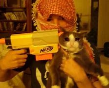 Image result for Cursed Dank Cats Meme