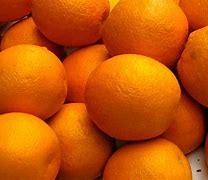 Image result for Organic Oranges