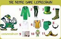 Image result for Notre Dame Leprechaun Costume
