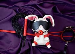 Image result for Rope Bunny Meme