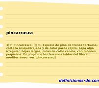 Image result for pincarrascal