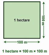 Image result for 1000 Sqm to Hectare