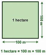 Image result for 1 Hectare Land