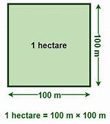 Image result for Hectare to Square Meter
