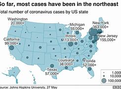 Image result for New York Cases per 1 000