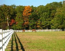 Image result for Pelham Bit Stables