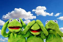 Image result for Wholesome Kermit Memes