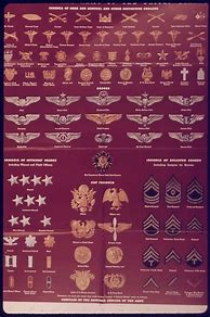 Image result for US Navy Ranks and Insignia
