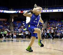Image result for WMBA Mascot the Dallas Wings