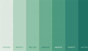 Image result for Aesthetic Green Color Palette Hex Codes
