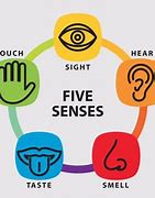 Image result for 5 Senses Descriptive Writing