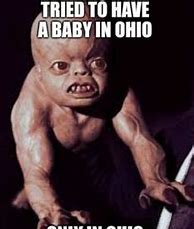 Image result for Why Are There Ohio Memes