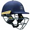 Image result for Australian Cricket Helmet