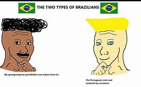 Image result for Brazil Meme
