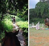 Image result for Gallop Stable