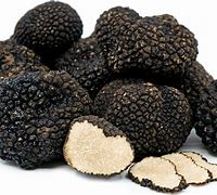 Image result for Italian Black Truffle