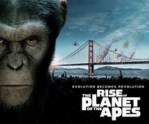 Image result for Planet Apes Oakland Meme