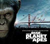 Image result for Humans Lie Planet of the Apes Meme