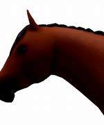 Image result for Wild Horse IRL