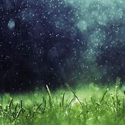 Image result for Rain Desktop Background