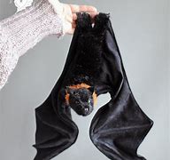 Image result for Fox Bat Toy
