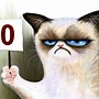 Image result for Funny Grumpy Cat Halloween
