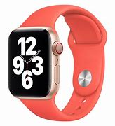 Image result for Pink Citrus Apple Watch Band