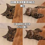 Image result for Savage Cat Memes