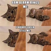 Image result for Cat Meme Repeat