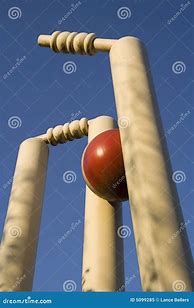 Image result for Stock Image Cricket Stumps