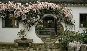 Image result for Clematis armandii