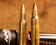 Image result for 222 vs .223 Ammo