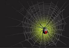 web bid vector spider web design background graphics 05 free web bid vector spider web design background graphics 05 free