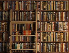 Image result for Book Author in Library