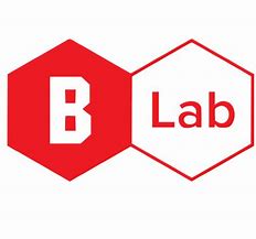 Image result for B Lab Logo.png
