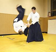 Image result for Aikido