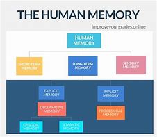 Image result for Memory Aid Techniques