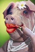 Image result for Lipstick On a Pig Meme
