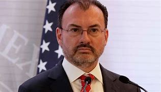 Image result for Minister of Foreign Affairs Mexico