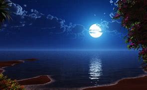 Image result for Full Moon Scenery