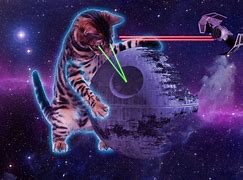 Image result for Cat War Dogs