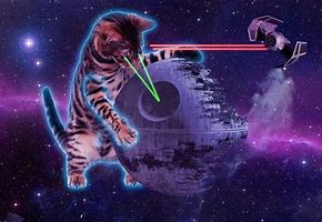 Image result for Galaxy Cat with Lasers