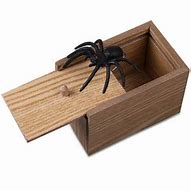 Image result for Spider in Box Prank